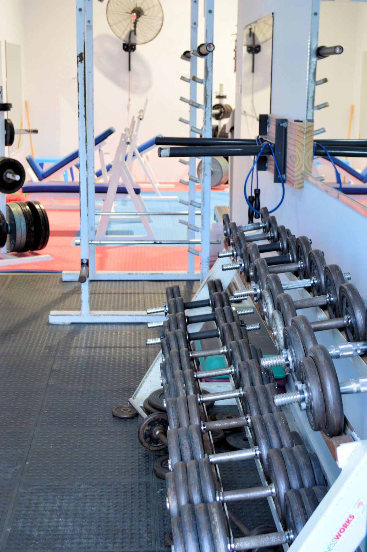 Paihia gym dumbells